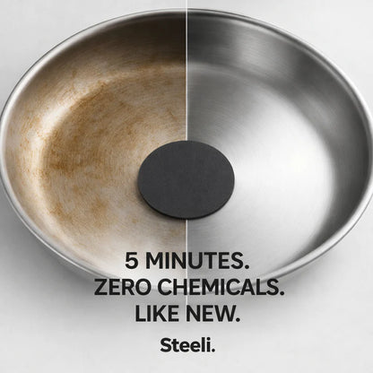 Arekya Sponge for Stainless Steel