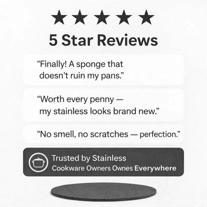 Arekya Sponge for Stainless Steel