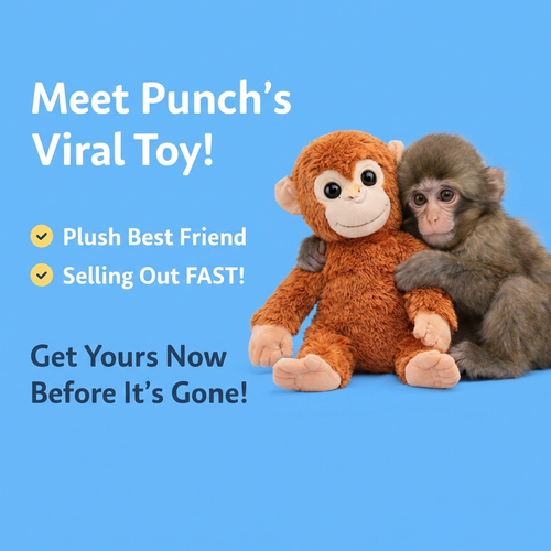 Punch's Viral Toy